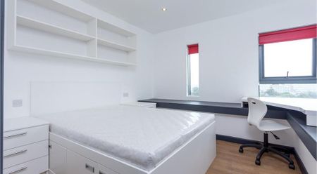 Studio to rent - Photo 4