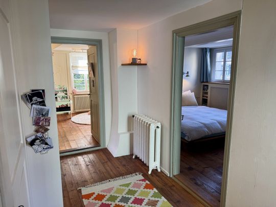 5-ROOM HOUSE IN ZURICH - DISTRICT 6, FURNISHED, TEMPORARY - Photo 1