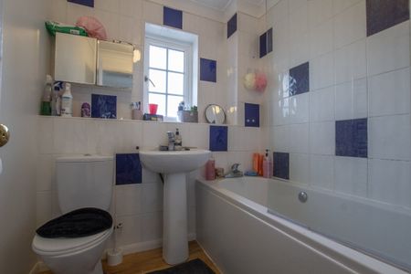 Mandrill Close - Photo 4