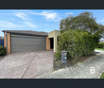 113 Edwards Street, Sebastopol, Vic 3356 - Photo 3