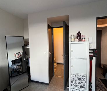 Location Appartement T 1 - Rennes - Beaulieu - Photo 5