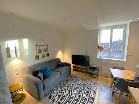 Location Appartement 1 pièce 19m² VILLEFRANCHE SUR SAONE 69400 - Photo 2
