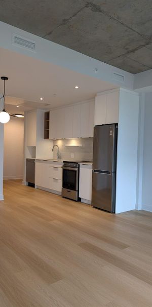 1 CH - 1 SDB - Montreal - $1,590 /mo - Photo 1