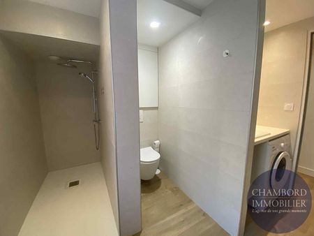 Appartement entièrement meublé à Cour Cheverny 41 m2 - Photo 5