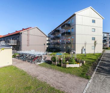 Skräddarebyn 14C, Bunkeflostrand - Foto 6