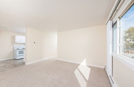 10131 - 152 Street, Edmonton, AB - Photo 4