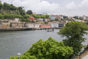 Apartamento T1 em Porto