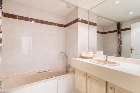 Location Appartement 1 pièce Meublé 44m² ANNECY 74000 - Photo 5