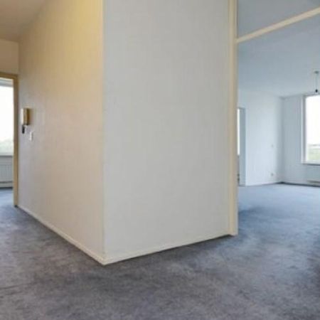 Pruimenlaan, 1185 Amstelveen, Nederland - Foto 4