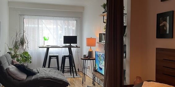 3 1/2 Près Tous Services (Ville-Émard) - Photo 3