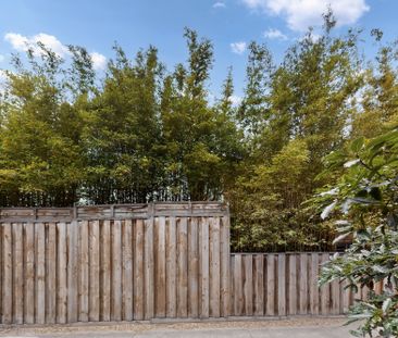 2/8 Alicia Street, Hampton VIC 3188 - Apartment For Rent | Domain - Photo 3