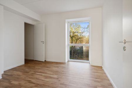 Hollænderen 2, 3. TV - Photo 4