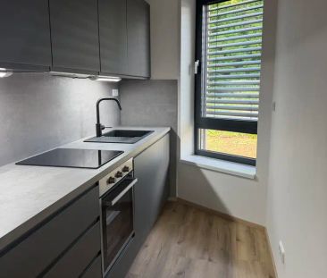 Pronájem bytu 2+kk se zahrádkou, 54 m - Fotografie 4