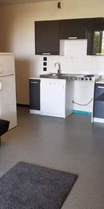 Location Appartement 1 pièce 24m² - Photo 4