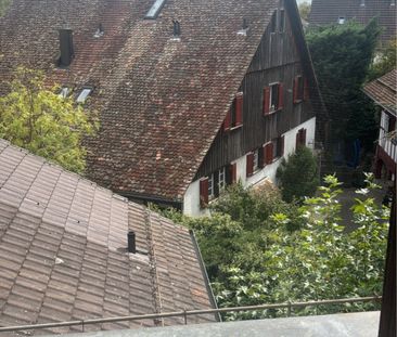 wohnung in Oberglatt eigener Waschmaschine, Tumbler + Keller - Foto 5