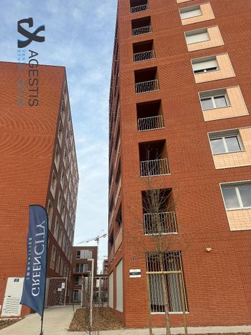 Location Appartement 2 pièces 47m² TOULOUSE 31400 - Photo 4