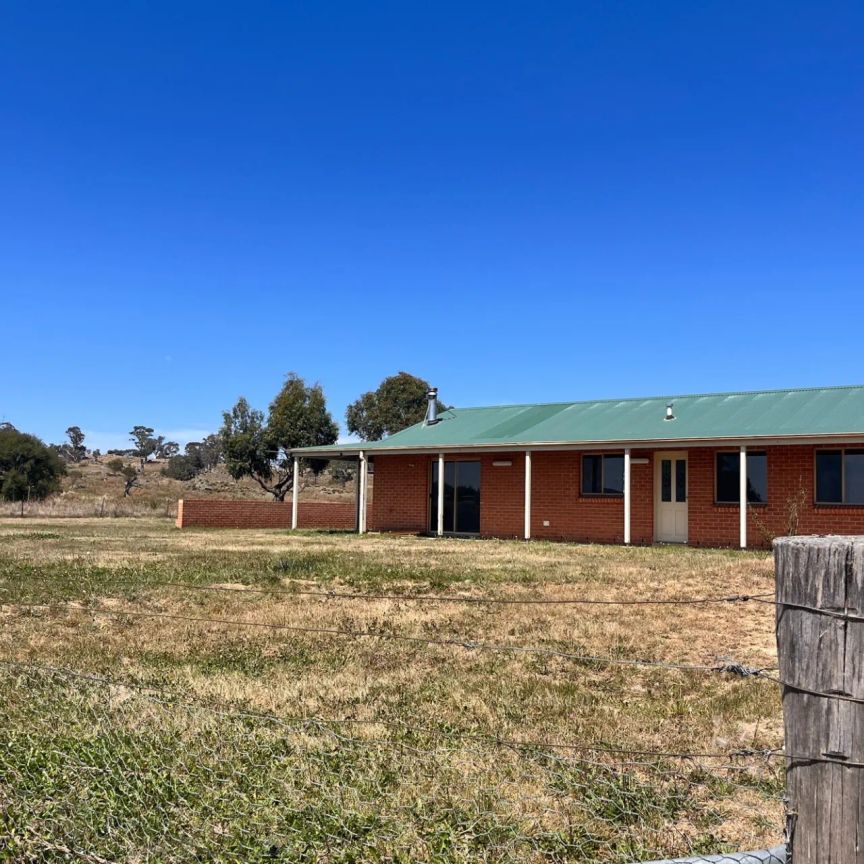 913 Gullies Road, Moonbah. - Photo 1