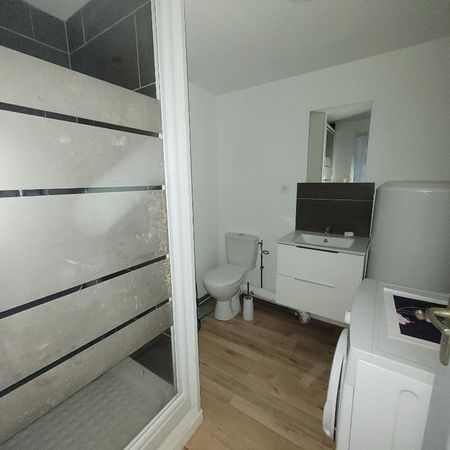 Location Appartement 1 pièce 18m² FOURMIES 59610 - Photo 3