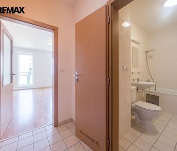 Pronájem bytu 1+kk 32 m² - Photo 3