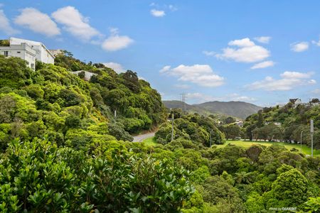 9 Waiapu Road, Kelburn - Photo 3