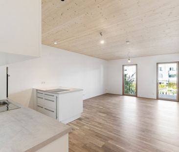 Holz-Hybridbau | Garten | Balkon - Photo 6