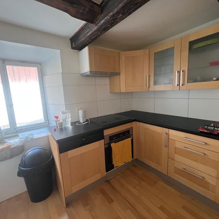 meublé, avec jardin privatif dans un petit immeuble, beau cadre de verdure - Foto 1