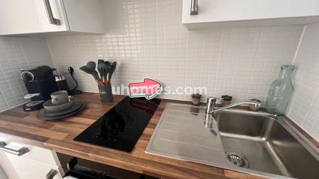 Extra Large Deluxe Studio - Photo 4