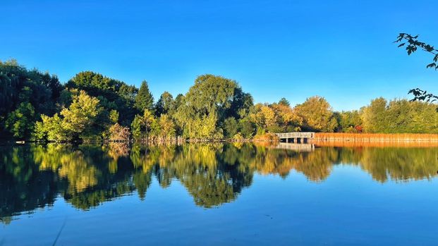 For Lease - 35 Aitken Circle, Markham, Ontario - Photo 1