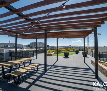 803/45 Ainslie Avenue, Braddon ACT 2612 - Apartment For Rent | Domain - Photo 6