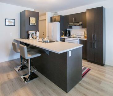 Logement 4 1/2 - Novembre 2025 - Photo 1
