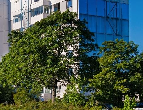 Perfektes WG-Zimmer für Studenten und Berufstätige - Foto 1