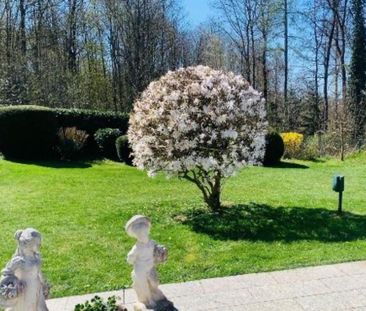 ✅ Wohnung f. hilfsbereite Mitbewohnerin respektvolles Miteinander - Foto 1