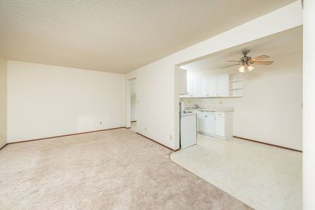 Lauren Manor - Photo 2