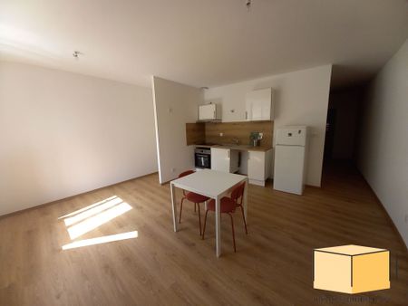 Location Appartement 2 pièces 50m² BELLEY 01300 - Photo 5