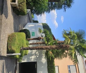 6816, Bissone - Foto 6