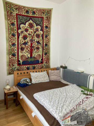 Unbefristete Wohnung in begehrter Lage sucht Langzeitmieter/In - Foto 4