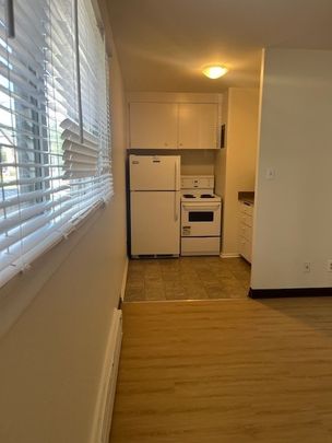 1 BDRM/1 BATH - 409 4TH AVE N - Available NOV 1 - Photo 1