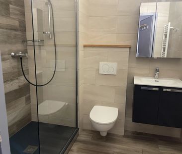Location Appartement 2 pièces 45m² SALLANCHES 74700 - Photo 4