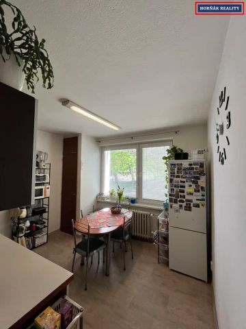 Pronájem bytu 2+1 54 m - Fotografie 5