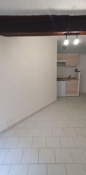 Location Appartement 1 pièces 16 m2 à Montpellier - Photo 1