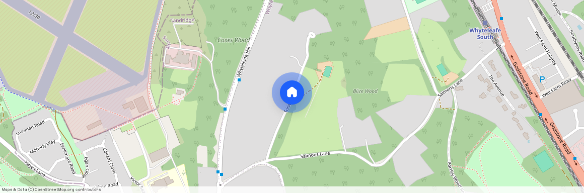 Torwood Lane, Whyteleafe, CR3