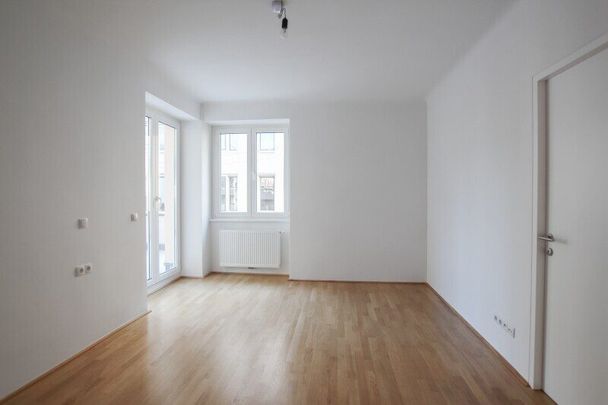 3-Zimmer-Wohnung mit 33 m² Terrasse am Laurenzerberg in direkter Nähe zum Schwedenplatz - Foto 1