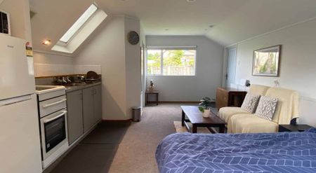 Fernhill studio with single garage - Photo 3