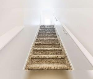 1 Bed 1 Bath Chappelle SW Edmonton Suite For Rent - Photo 3
