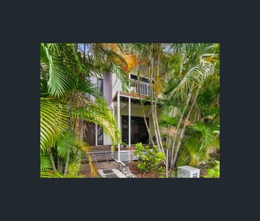 21 Paddington Terrace, Douglas, Qld 4814 - Photo 6