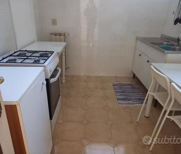 Rif.24492| appartamento bilocale - Photo 1