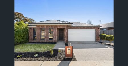 Perfect family home, with shedding - Photo 5