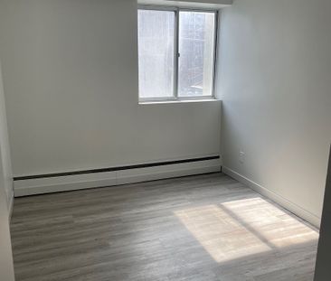 261 Cooper Street, Centretown, Ottawa, ON - Photo 6