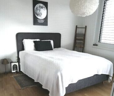 APPARTEMENT 21/2 PIÈCES À BENGLEN (ZH), MEUBLÉ, TEMPORAIRE - Foto 3