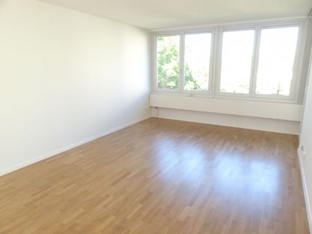 Neu sanierte 2 Zimmerwohnung - Foto 2
